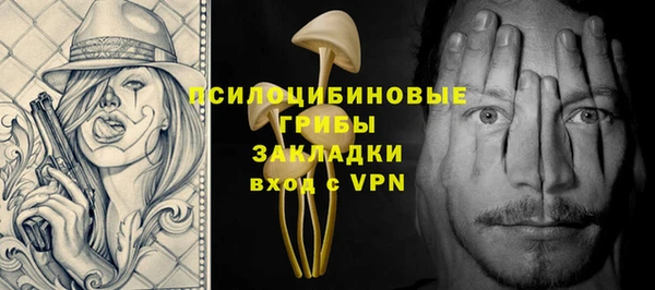 прущие грибы Алексеевка