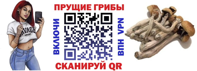 гидра зеркало  Чишмы  Галлюциногенные грибы мухоморы  где купить наркоту 